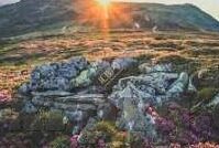 糖心app网站下载-穿梭在数字梦幻，糖心APP的探索之旅